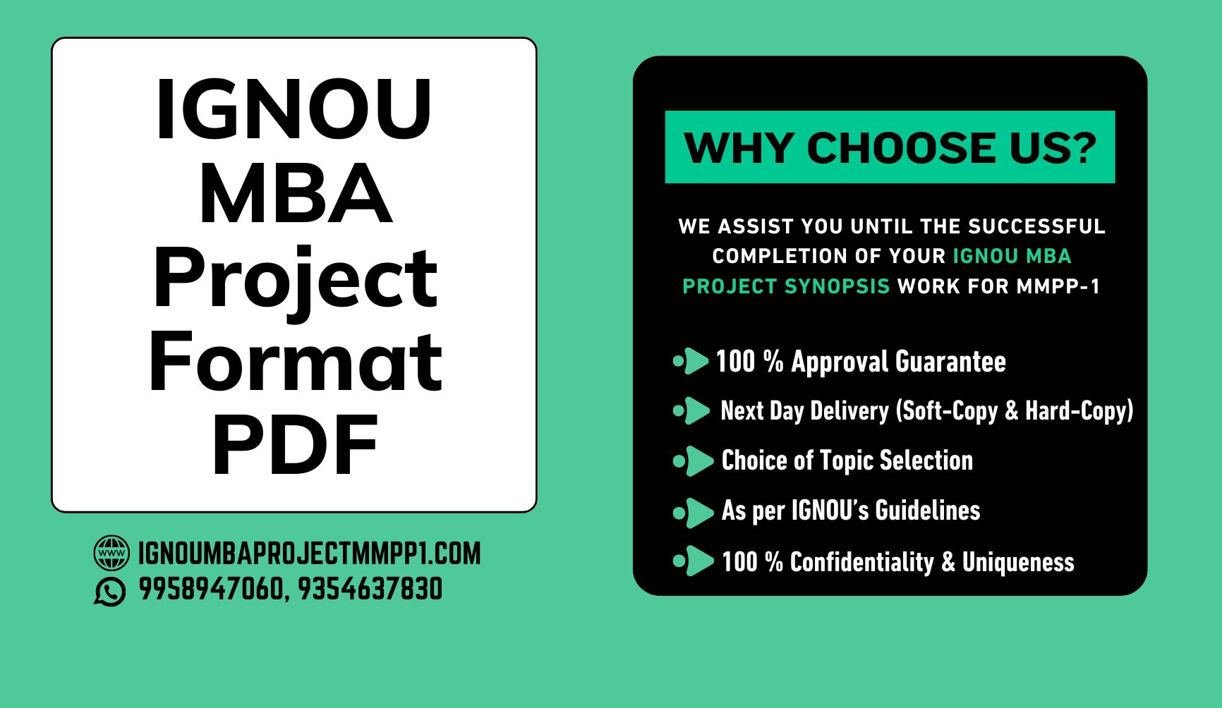 IGNOU MBA Project Format PDF