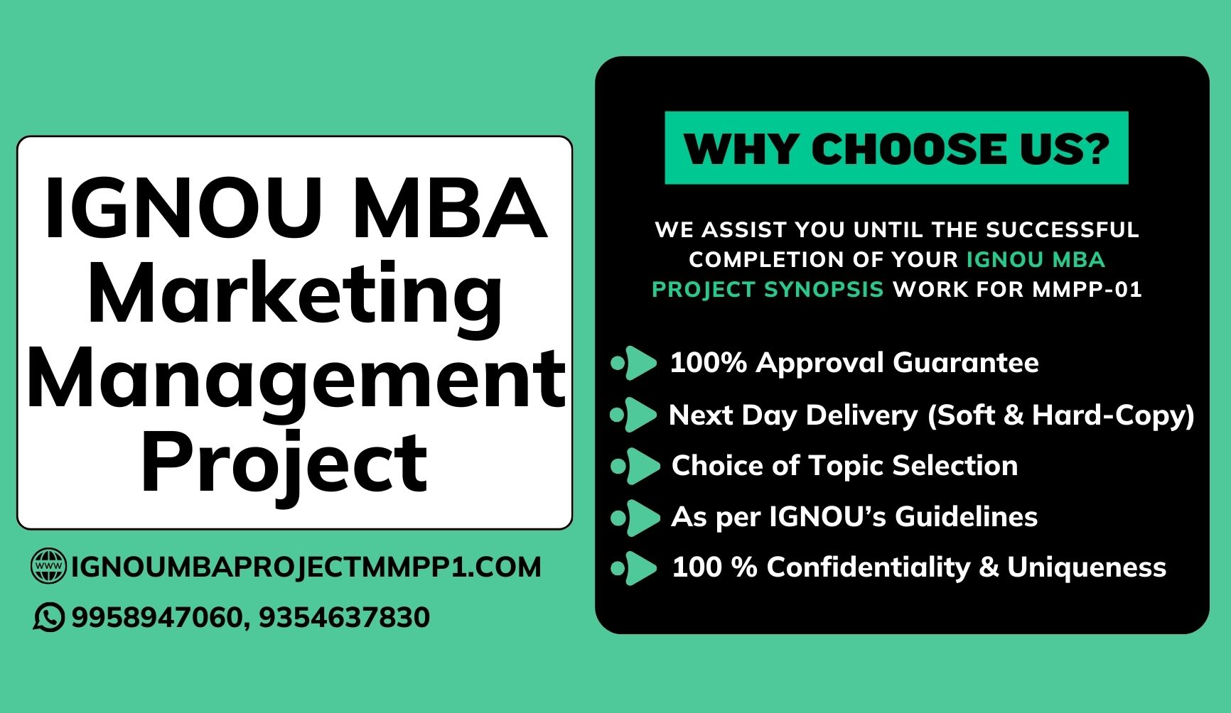 ignou mba marketing project